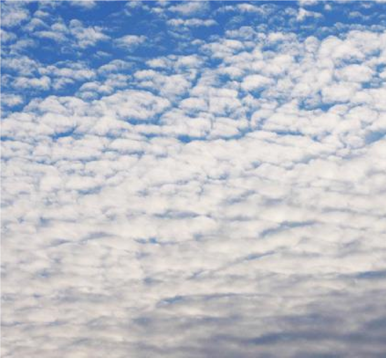13. Какую погоду следует ожидать при резком падении атмосферного давления и появлении перисто-кучевых облаков?