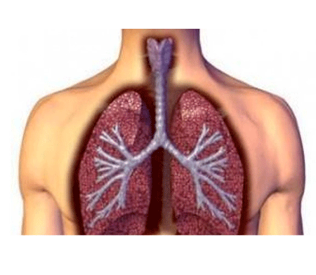 24. Определите основной признак ожога верхних дыхательных путей.