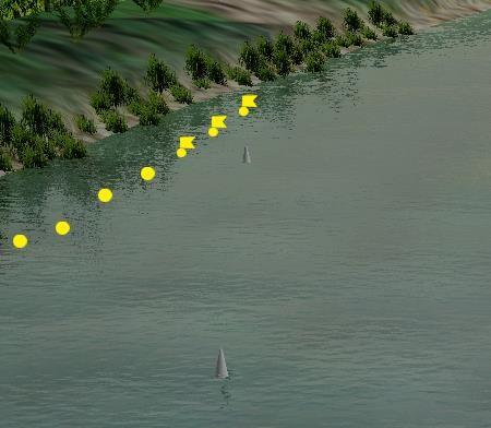 14. Что обозначают желтые поплавки или желтые флаги, расставленные на поверхности воды в непосредственной близости от судового хода?